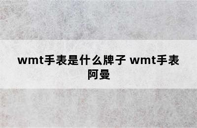 wmt手表是什么牌子 wmt手表阿曼